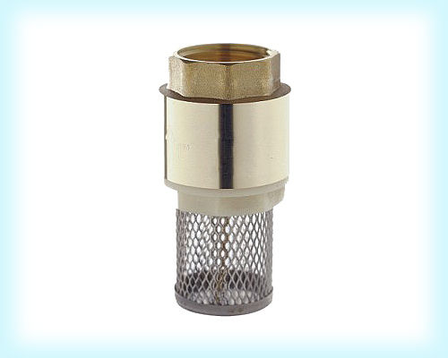 Spring Check Valve With Net