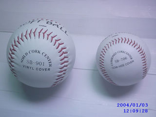 Qingdao Sunbird Baseball