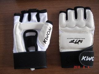 Taekwondo Hand Protectors