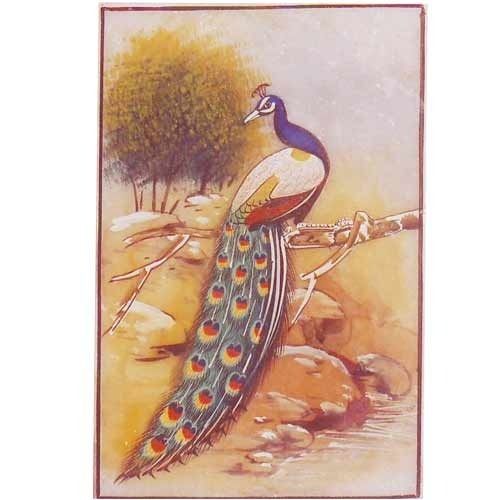 Animals Paintings Of Peacock