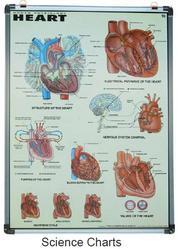 Science Chart Board