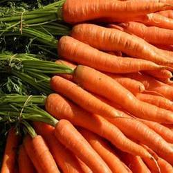 Carrot (Fresh Vegetables)