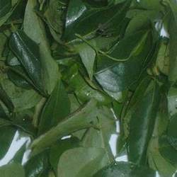 Dry Curry Leaves