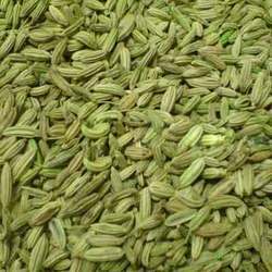 Fennel Seeds