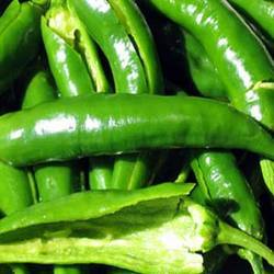 Green Chilli