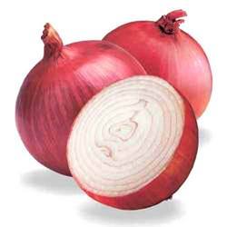 Onion