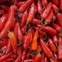 Red Chilly