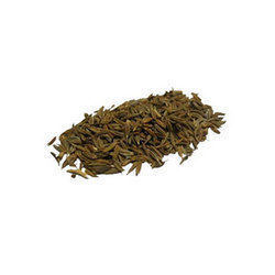 Cumin Seed