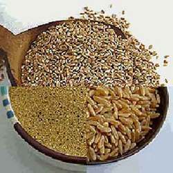 Millets - Coarse Grains Rich in Nutrients | Hygienically Processed, Easy to Digest, High Energy Food