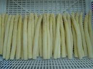 IQF White Asparagus By Jiexu (Tianjin) International Trading Co., Ltd.