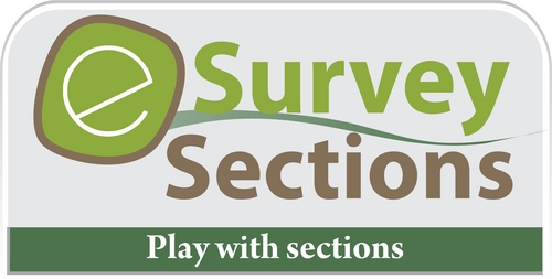 Esurvey Sections E Surveying Softech India Pvt Ltd Mr15