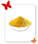 Coriander Powder Powder