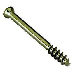 Cancellous Screw