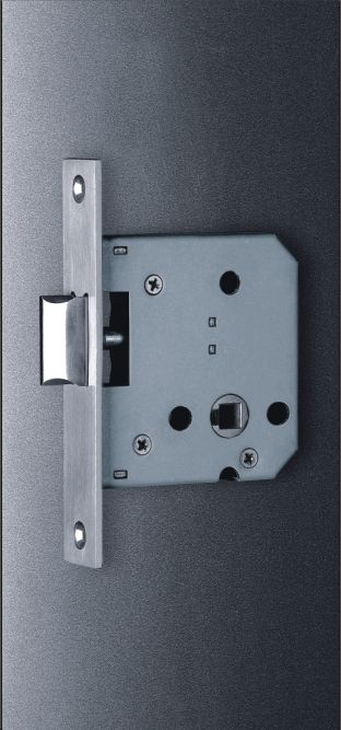 Latch Bolt Lock (A55zl)