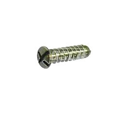 Titanium Screws Slotted Heads