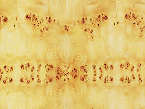 Mapa Burl Veneer