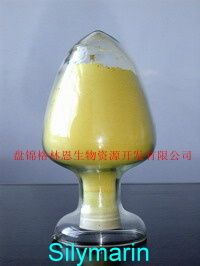 Silymarin - Natural Yellow Powder Extract | Liver Protection, Antioxidant, Promotes Biliation, Skin Aging Delay