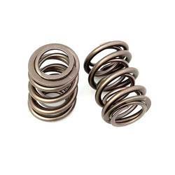 Valve Spring