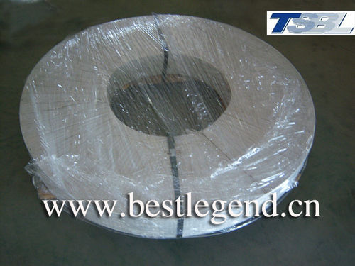 Magnetic Steel Strip