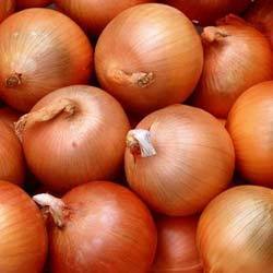 Yellow Onion