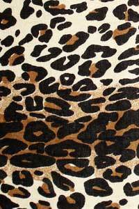 Animal Prints Pashmina Shawls