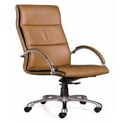 Imported Series Chairs