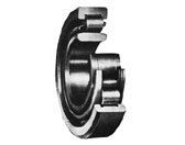 Single Row Cylindrical Roller Bearings