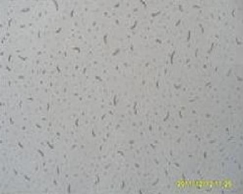 Mineral Fiber Ceiling