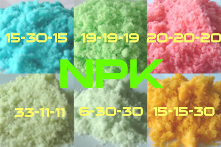 NPK Fertilizers