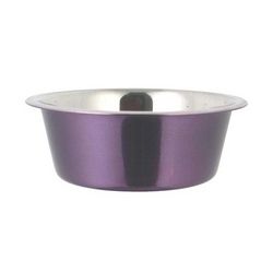 Regular Feeding Coloured Bowl