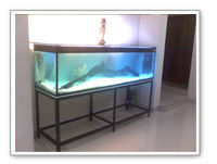 Home Aquariums