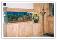 Showcase Mounted Aquariums