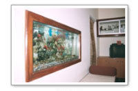 Wall Mounted Aquariums