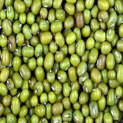 Green Mung Beans