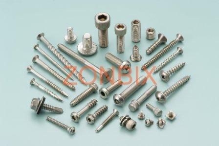 Stainless Steel Screws