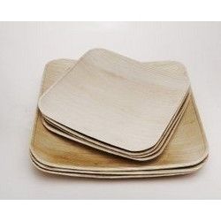 Areca Nut Leaf Plates