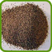 Black Pepper Powder