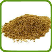 Coriander Powder