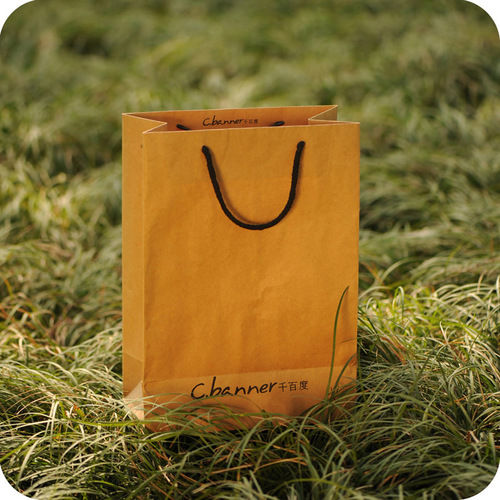 Kraft Paper Bag With Cotton Rope Handle