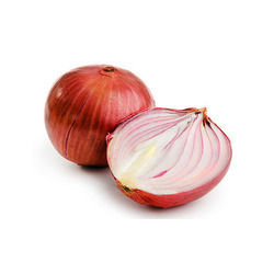 Onion