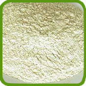 Onion Powder