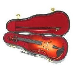 Violin Case