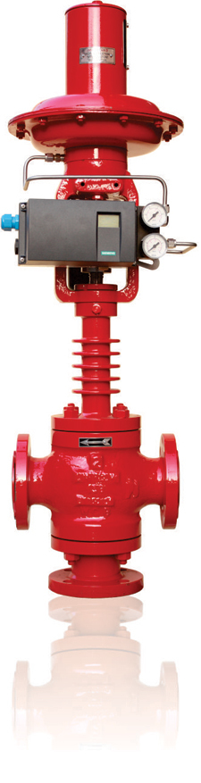 Globe 3 Way Control Valve
