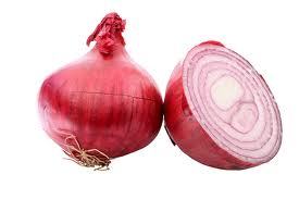 Onion