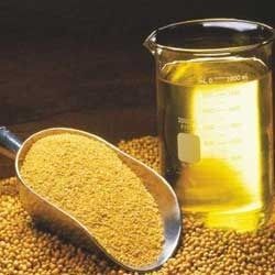 Crude Soya Bean Oil