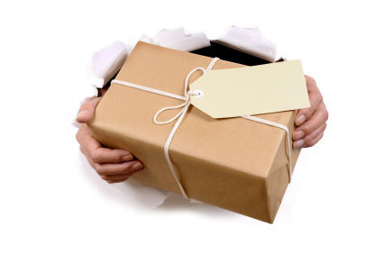 Parcel Courier Services By OM INTERNATIONAL PACKERS & MOVERS