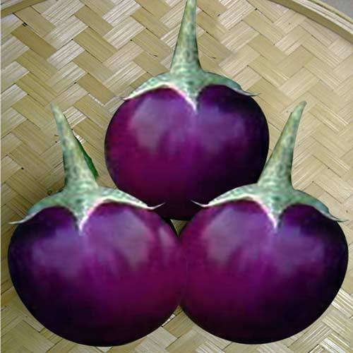 Brinjal