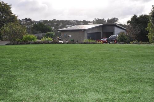 Garden House Or Landscaping Synthetic Grass