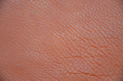 Embossed Leather