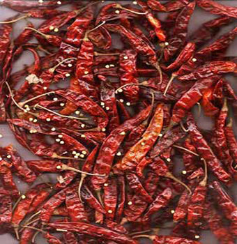 Red Chilli